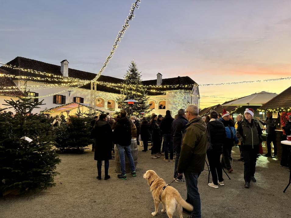 Advent auf Schloss Tabor